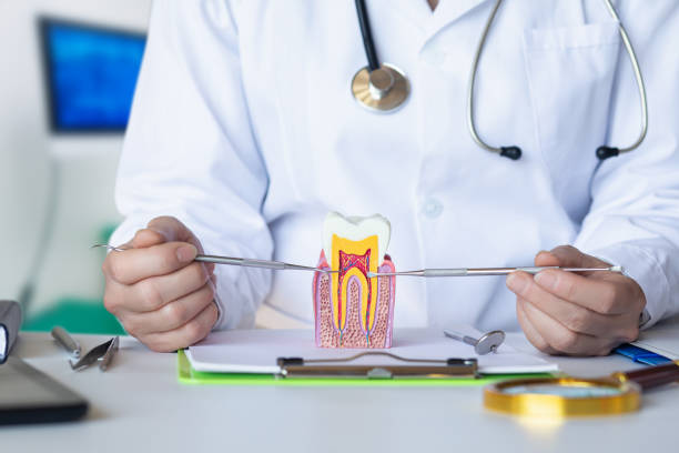 Best Emergency Dental Extractions in Green Tree, PA